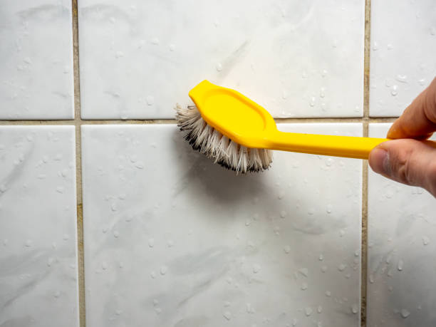 Best Commercial Mold Removal  in Waynesville, MO