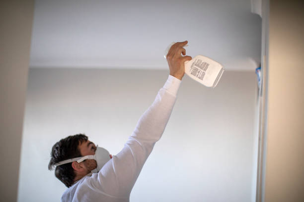 Best Mold Damage Repair  in Waynesville, MO